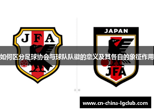 如何区分足球协会与球队队徽的意义及其各自的象征作用
