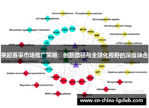 英超赛事市场推广策略:创新路径与全球化视野的深度融合 英超赛事市场推广策略:创新路径与全球化视野的深度融合